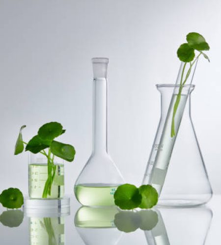 Scientific Experiment with Centella asiatica extract. Empty podium glass for cosmetic bottle containers.